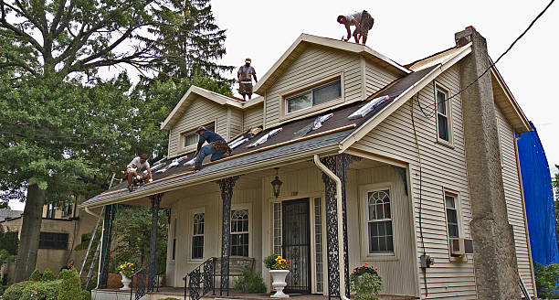 Best Gutter Installation and Roofing  in Williamstown, WV