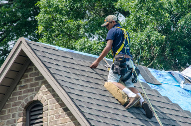 Best Roof Replacement Cost  in Williamstown, WV